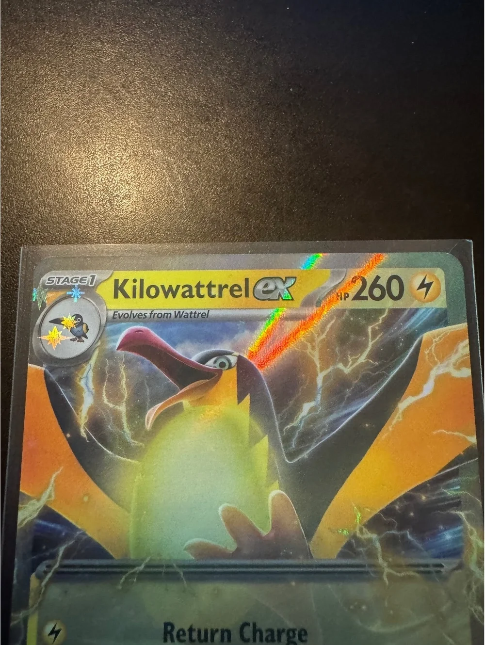 Kilowattrel ex Chi-Yu ex Pokemon 2 Card Holo Lot